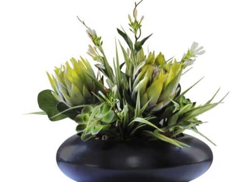 Protea Succulents in UFO Vase
